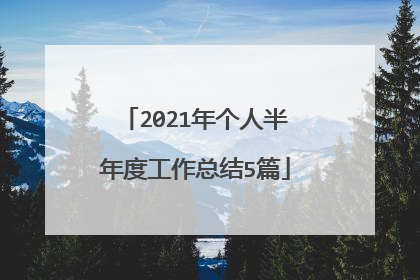 2021年个人半年度工作总结5篇