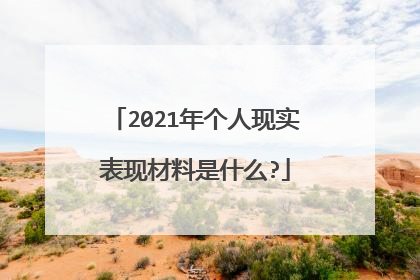 2021年个人现实表现材料是什么?