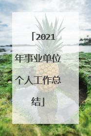 2021年事业单位个人工作总结