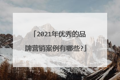 2021年优秀的品牌营销案例有哪些?