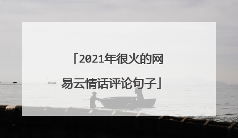 2021年很火的网易云情话评论句子