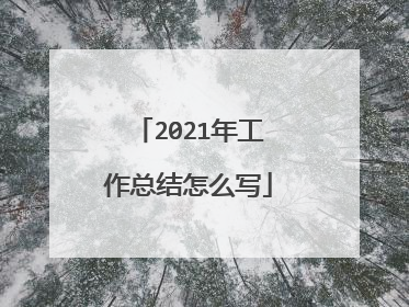 2021年工作总结怎么写