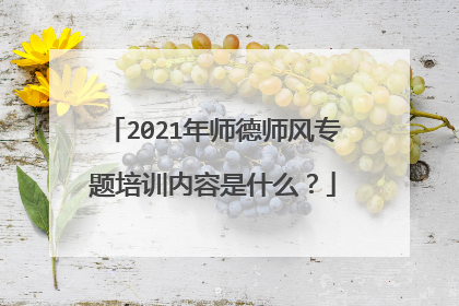 2021年师德师风专题培训内容是什么？