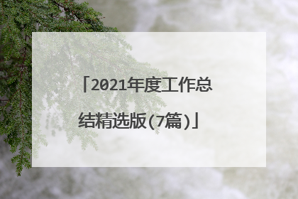 2021年度工作总结精选版(7篇)