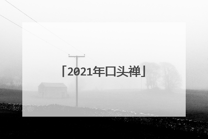2021年口头禅