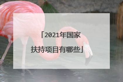 2021年国家扶持项目有哪些