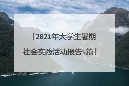2021年大学生暑期社会实践活动报告5篇