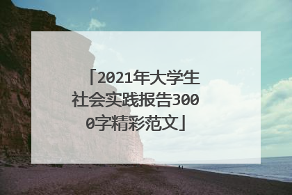 2021年大学生社会实践报告3000字精彩范文