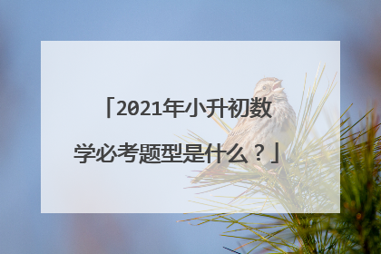 2021年小升初数学必考题型是什么?