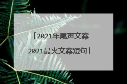 2021年尾声文案 2021最火文案短句