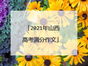 2021年山西高考满分作文
