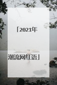 2021年潮流网红语