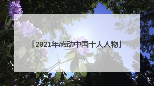 2021年感动中国十大人物