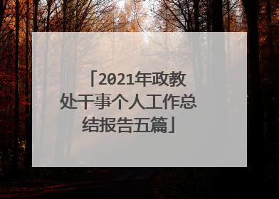 2021年政教处干事个人工作总结报告五篇