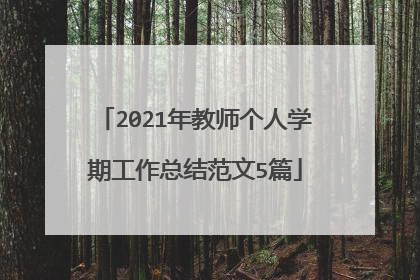 2021年教师个人学期工作总结范文5篇