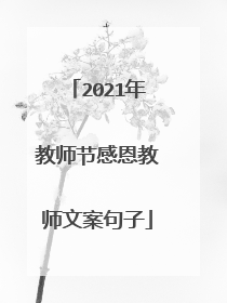 2021年教师节感恩教师文案句子