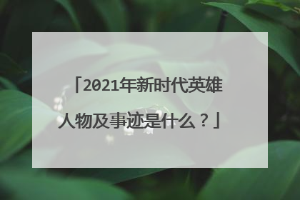 2021年新时代英雄人物及事迹是什么?