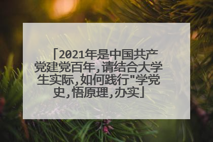 2021年是中国共产党建党百年,请结合大学生实际,如何践行