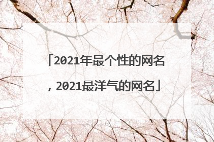 2021年最个性的网名,2021最洋气的网名