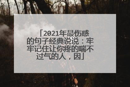2021年最伤感的句子经典说说：牢牢记住让你疼的喘不过气的人，因