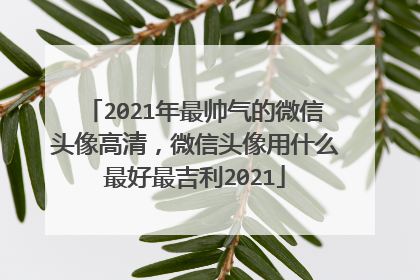 2021年最帅气的微信头像高清,微信头像用什么最好最吉利2021