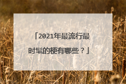 2021年最流行最时髦的梗有哪些？
