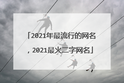 2021年最流行的网名,2021最火二字网名