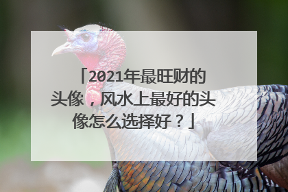 2021年最旺财的头像,风水上最好的头像怎么选择好?