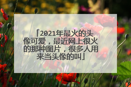 2021年最火的头像可爱,最近网上很火的那种图片,很多人用来当头像的叫