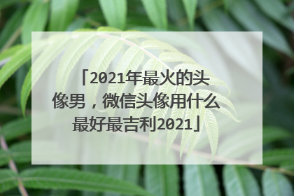 2021年最火的头像男，微信头像用什么最好最吉利2021