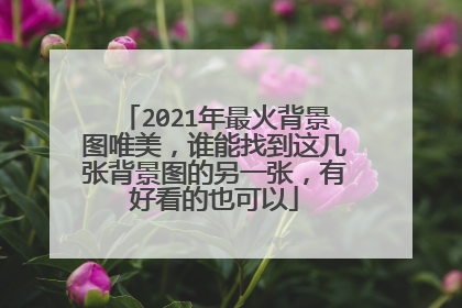 2021年最火背景图唯美,谁能找到这几张背景图的另一张,有好看的也可以