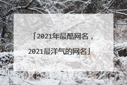 2021年最酷网名，2021最洋气的网名