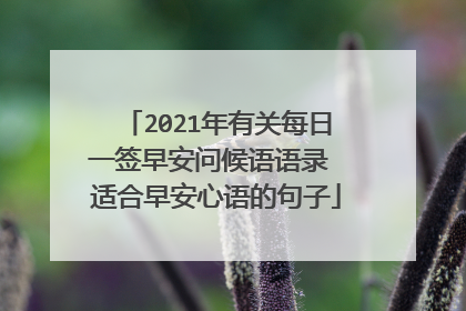 2021年有关每日一签早安问候语语录 适合早安心语的句子