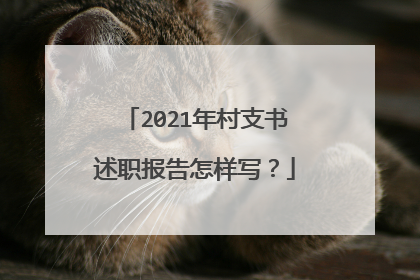 2021年村支书述职报告怎样写？