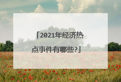 2021年经济热点事件有哪些?