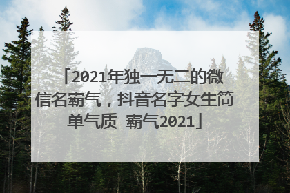 2021年独一无二的微信名霸气，抖音名字女生简单气质 霸气2021