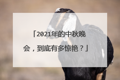 2021年的中秋晚会，到底有多惊艳？