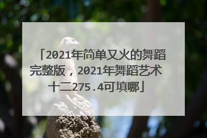 2021年简单又火的舞蹈完整版,2021年舞蹈艺术十二275.4可填哪