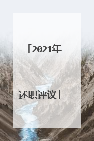 2021年述职评议