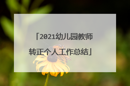 2021幼儿园教师转正个人工作总结