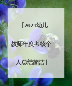 2021幼儿教师年度考核个人总结简洁