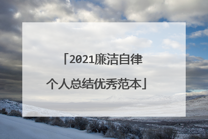 2021廉洁自律个人总结优秀范本