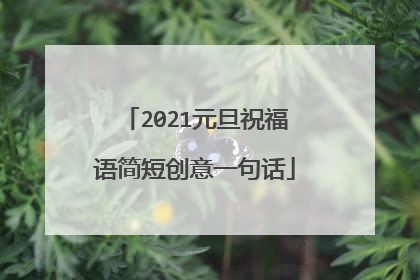 2021元旦祝福语简短创意一句话