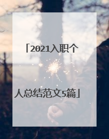 2021入职个人总结范文5篇