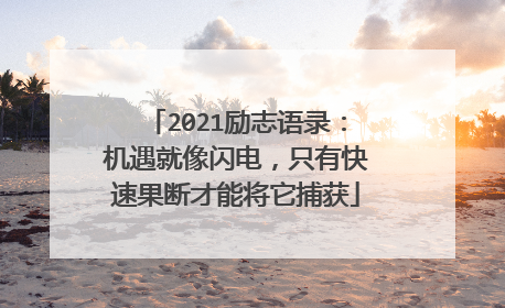 2021励志语录:机遇就像闪电,只有快速果断才能将它捕获