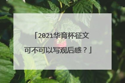 2021华育杯征文可不可以写观后感？