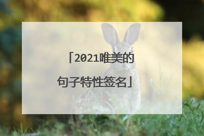 2021唯美的句子特性签名