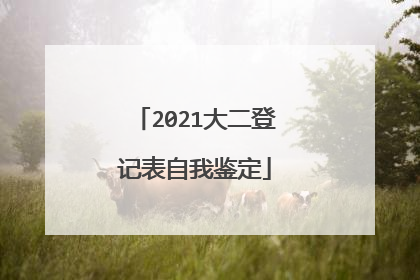 2021大二登记表自我鉴定