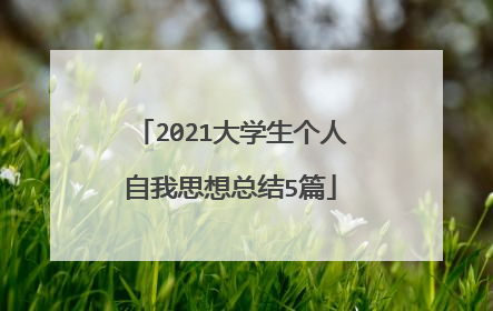 2021大学生个人自我思想总结5篇