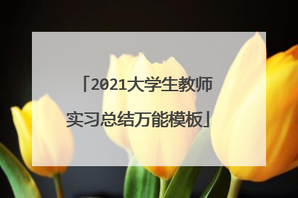 2021大学生教师实习总结万能模板
